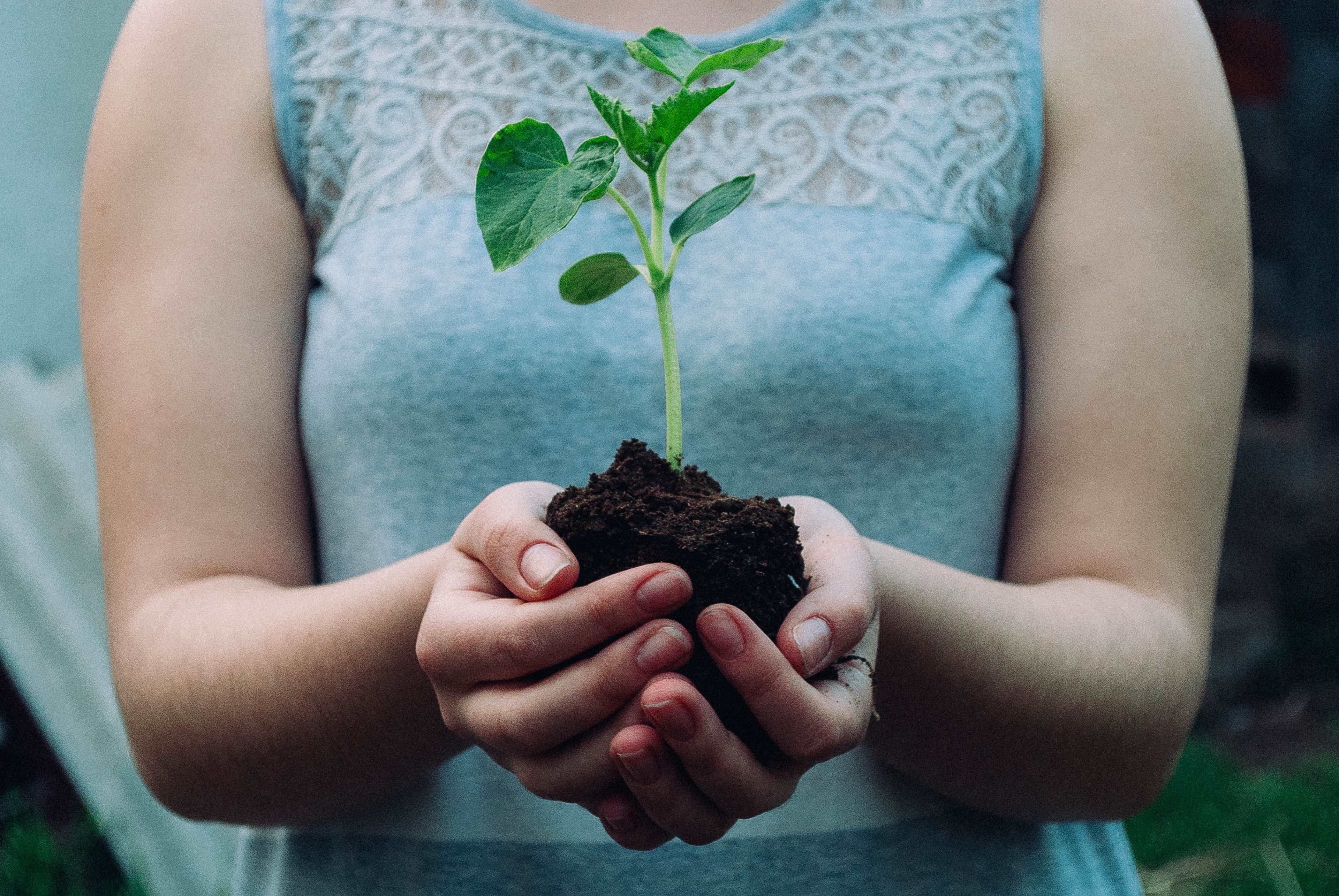 Image for Grow your investable assets